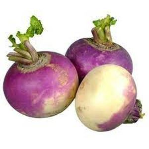 Turnip
