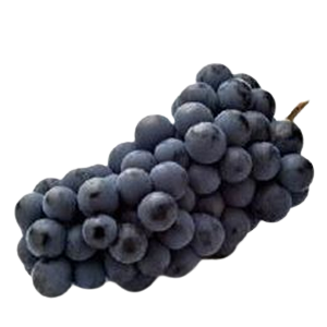 Grapes Black