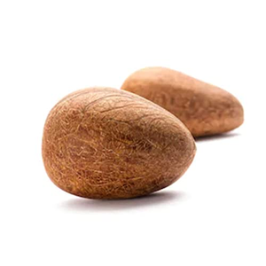 Aithra Dry Coconut Whole 2pc