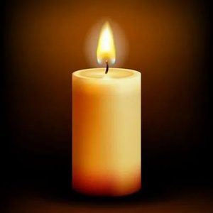 Wax Candle 90mm (4Pcs)(JMD-011)