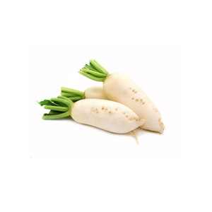 Radish White 1Pc